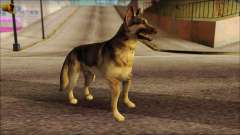 Dog Skin v2
