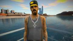 New Lsv3 skin for GTA San Andreas